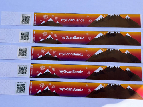QR Safety Wristbands - Mountain Fun
